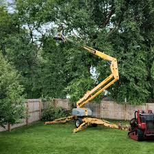 Best Aeration Services  in Charlotte Park, FL