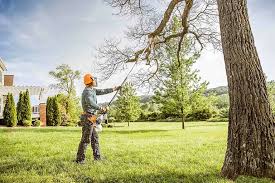 Best Organic Lawn Care Solutions  in Charlotte Park, FL